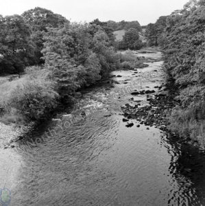 Fishing, River Swale, Easby